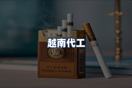 越南代工